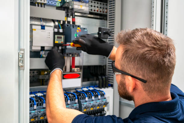 Best Local Electrician Companies  in Homestead Meadows South, TX